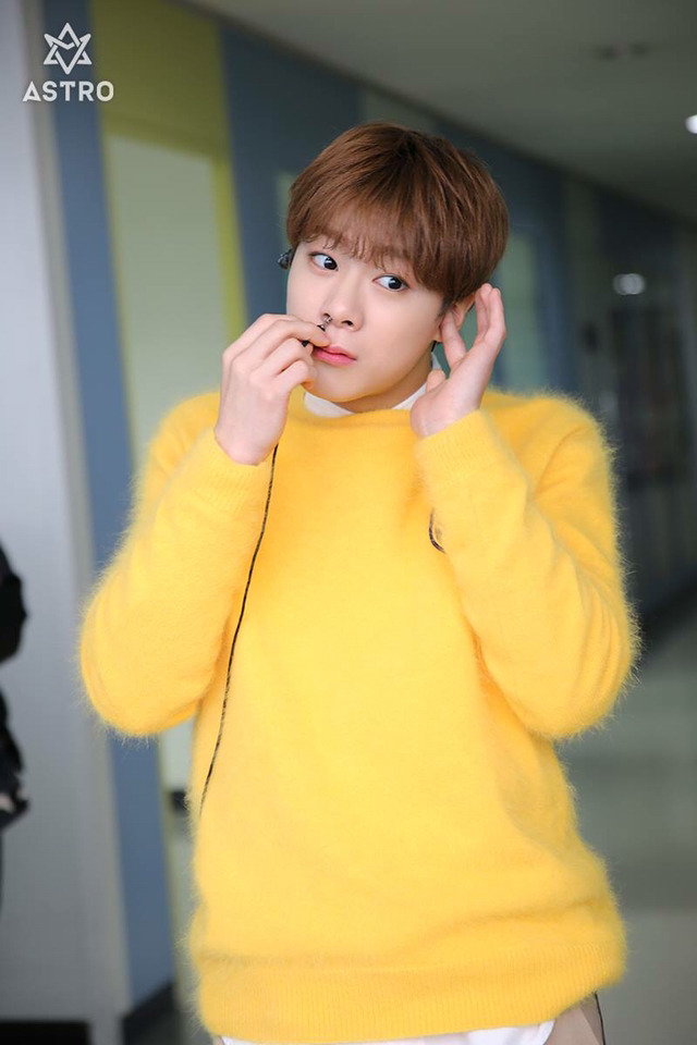 달콩 이미지