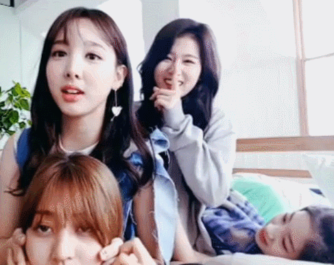 트와이스 사나 머리카락으로 동굴탐험 | 인스티즈
