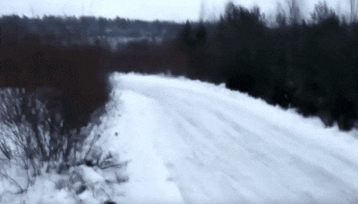 봉고 마스터.gif | 인스티즈