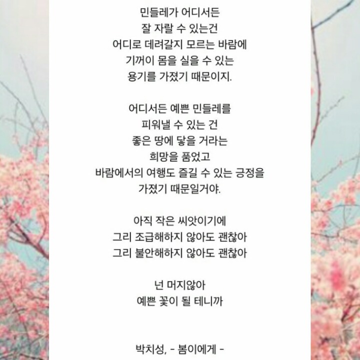 지역별 순대 스타일 | 인스티즈