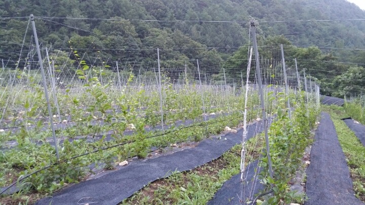 청화원 이미지