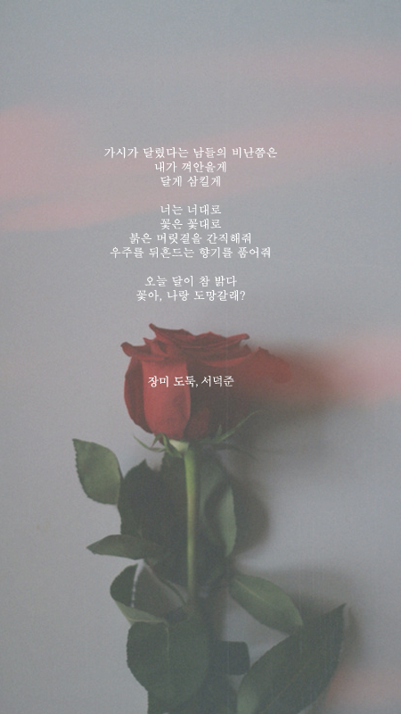 예쁜 시 구절이 적힌 폰배경화면 열두 번째.jpg | 인스티즈