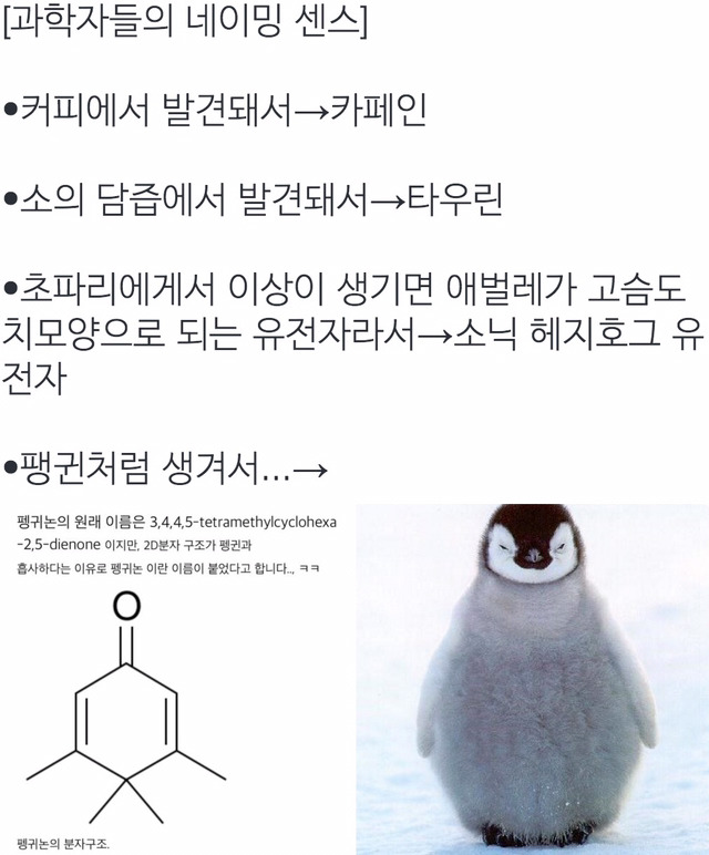 이과생 유머 몇가지 | 인스티즈
