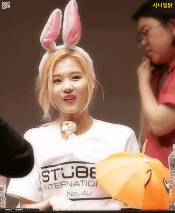 트와이스 사나 | 인스티즈