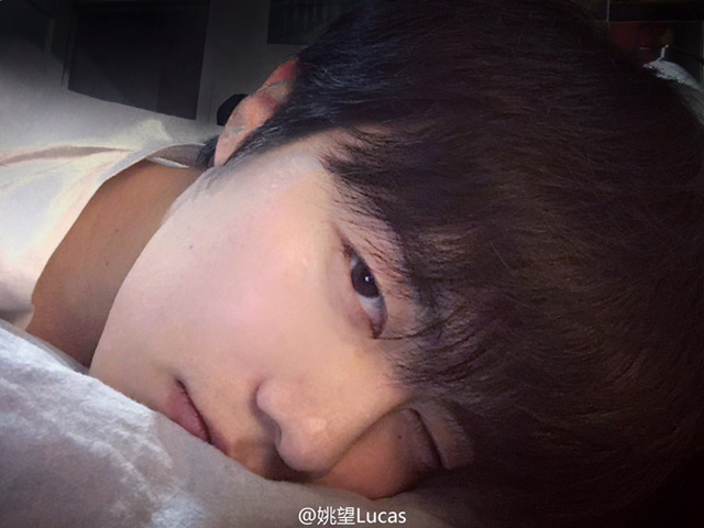 호아 이미지
