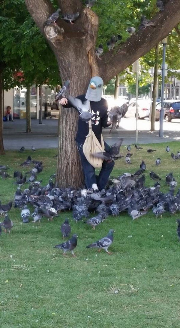 설레일 이미지