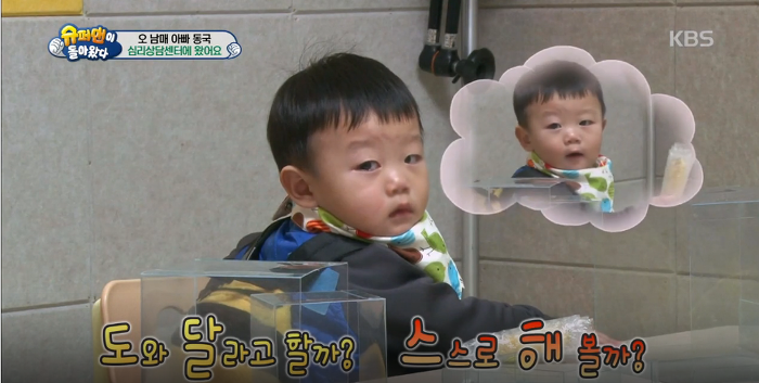 대박이의 아련아련 눈빛공격 (대박이의 성격은? 천성 vs 후천적 교육) | 인스티즈