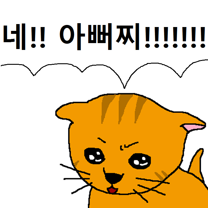 상남자 고양이의 아들 교육법 | 인스티즈