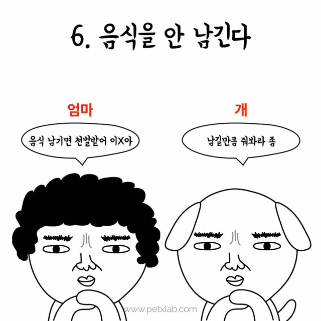 엄마와 강아지의 평행이론 | 인스티즈