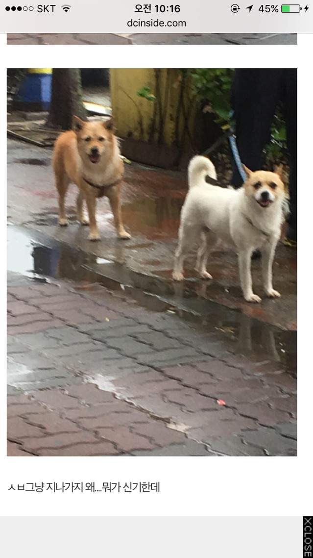 오늘 아침 이니스프리 대란.jpg | 인스티즈