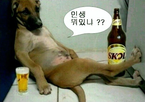 있슈 이미지