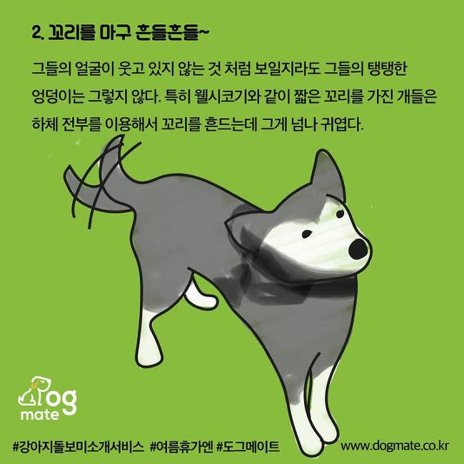강아지가 이렇게하면 웃고있는 거라는데... | 인스티즈
