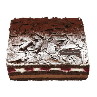 작고 (비싸고) 맛있다는 투썸플레이스의 케이크들.jpg | 인스티즈