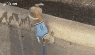 몽유도원도.gif | 인스티즈