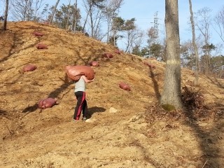 광주농장 이미지