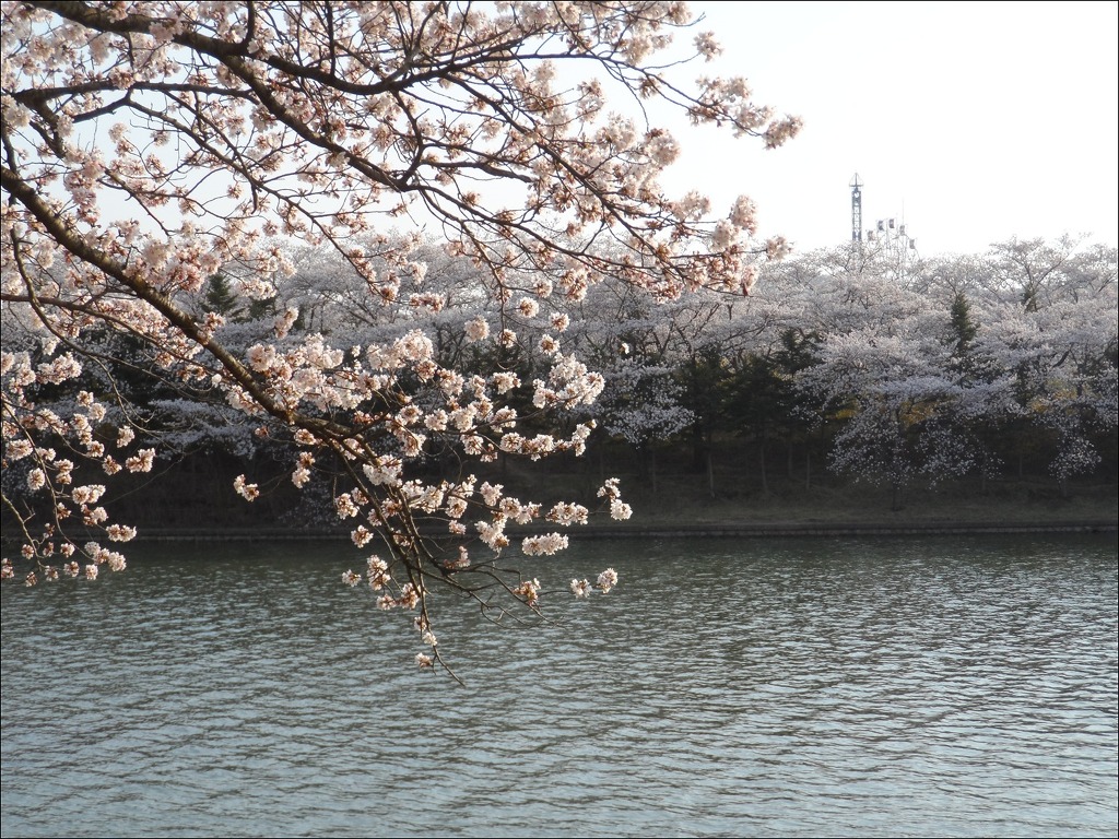 경주호가 이미지