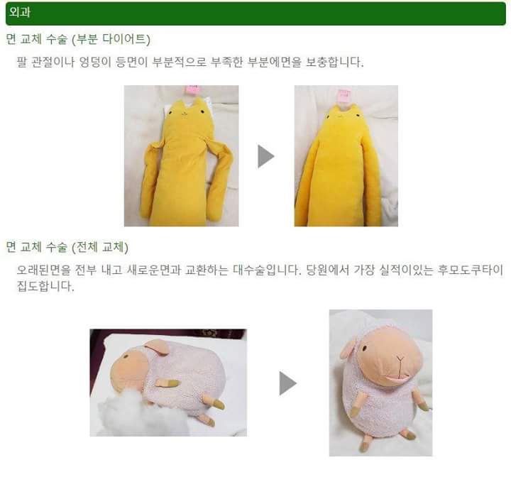 일본의 인형병원 | 인스티즈