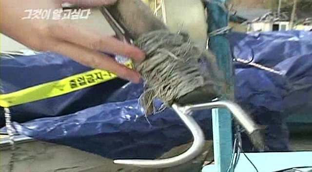 복윈된 무서운 사진 | 인스티즈