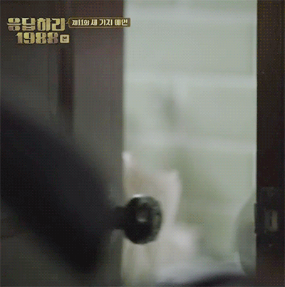 [피드백재요구] [응답하라 1988] 역대급 서브남주 정환이의 티내지 않는 배려 | 인스티즈
