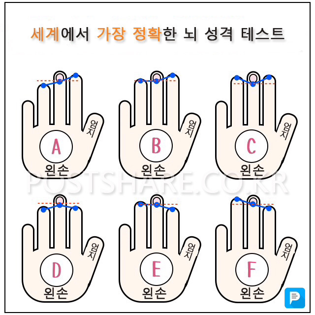 손가락 길이로 알아보는 뇌성격 테스트.jpg | 인스티즈