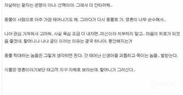 무당이 말하는 인생에 대하여 | 인스티즈