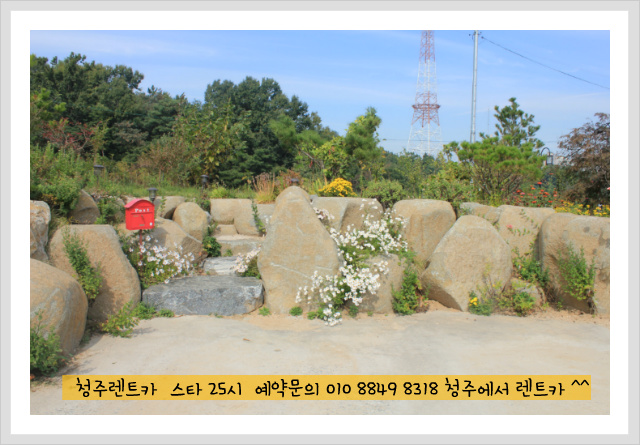 25시카써비스 이미지