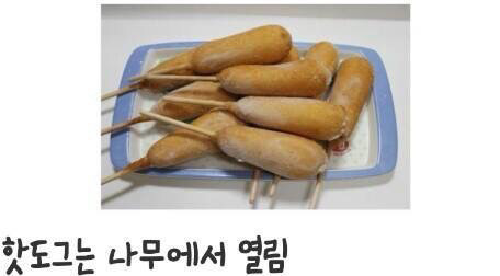 의외로 많은 사람들이 잘 모르는 상식 | 인스티즈