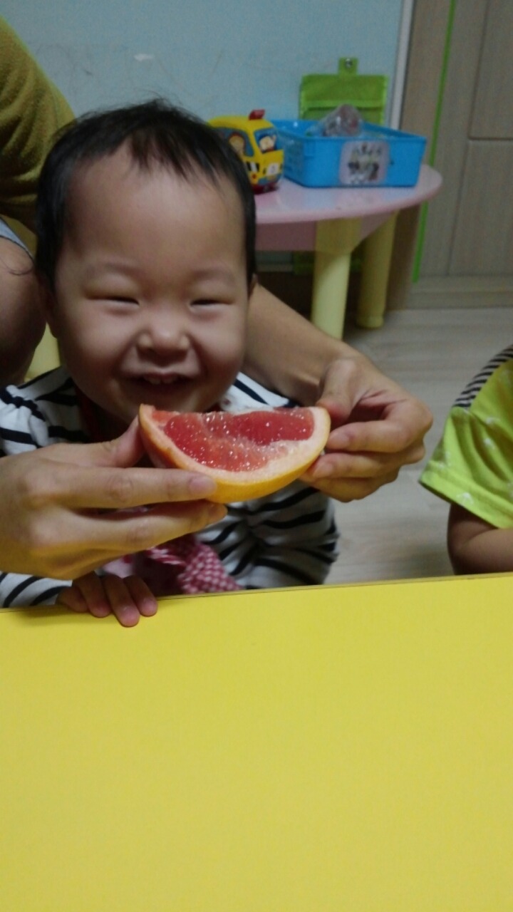 맛있는과일나라 이미지