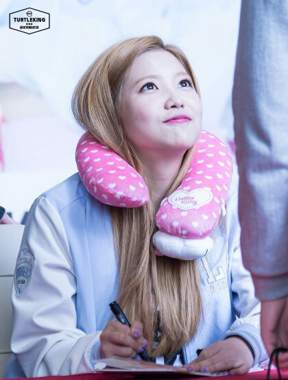 예부기 vs 하부기 움짤&사진 | 인스티즈