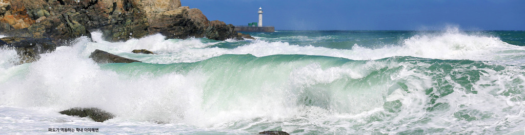 섬 전체가 캠퍼스인 세계 유일의 대학교.jpg | 인스티즈