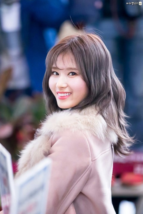 트와이스 사나 | 인스티즈