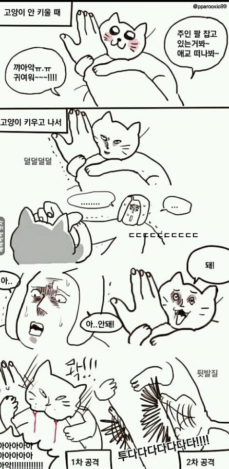 고양이 키우기 전과 후 | 인스티즈