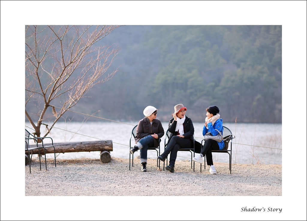 성지농원 이미지