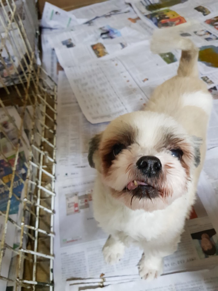 봉구 이미지