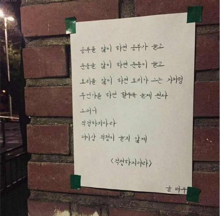 우문현답 이미지