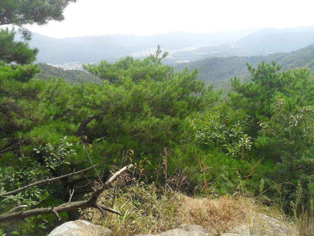 보문산 이미지