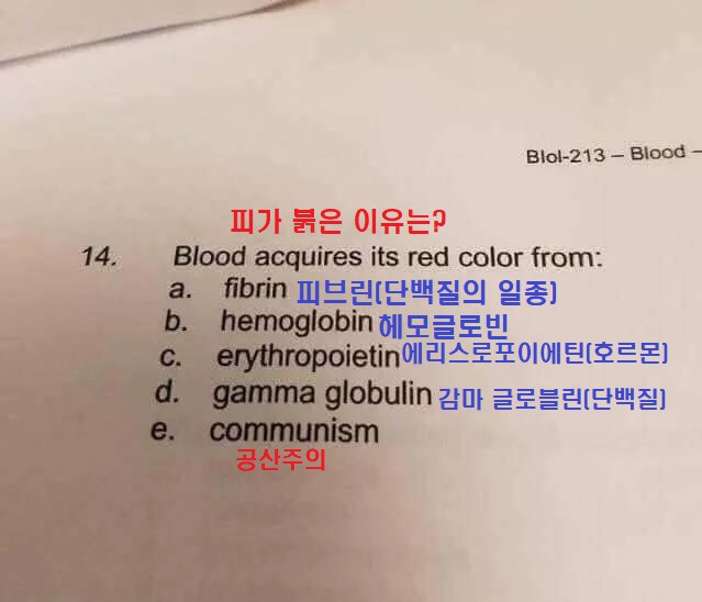 ???: 우리의 피는 왜 붉은가? | 인스티즈