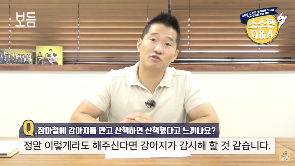 장마철에 강아지를 안고 산책하면 산책했다고 느끼나요?.jpg | 인스티즈
