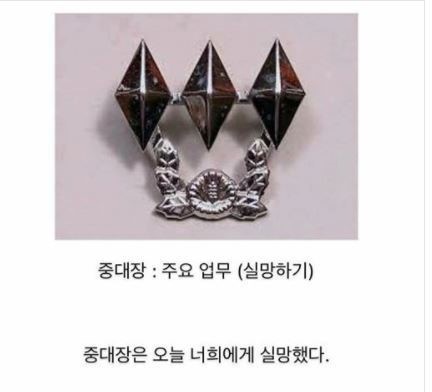 중대장의 주요업무 | 인스티즈