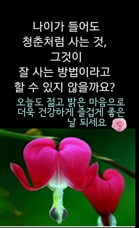 오늘도;예쁜 이미지