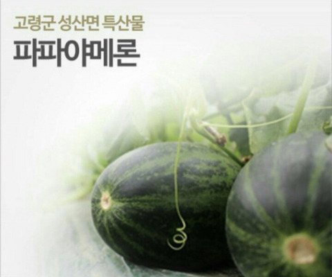 아빠... 하지마세요.... | 인스티즈