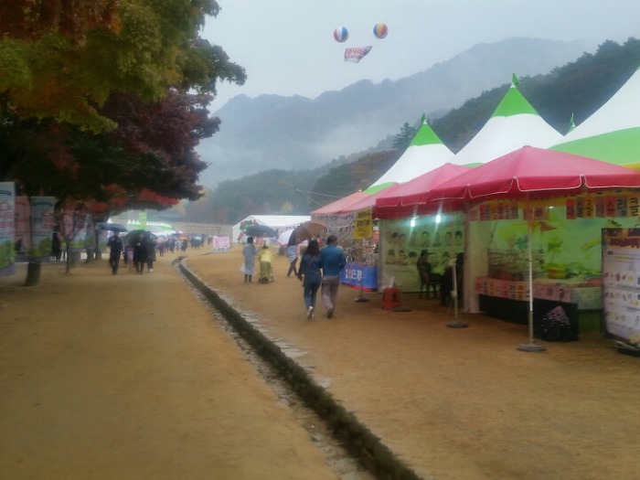 진산주 이미지