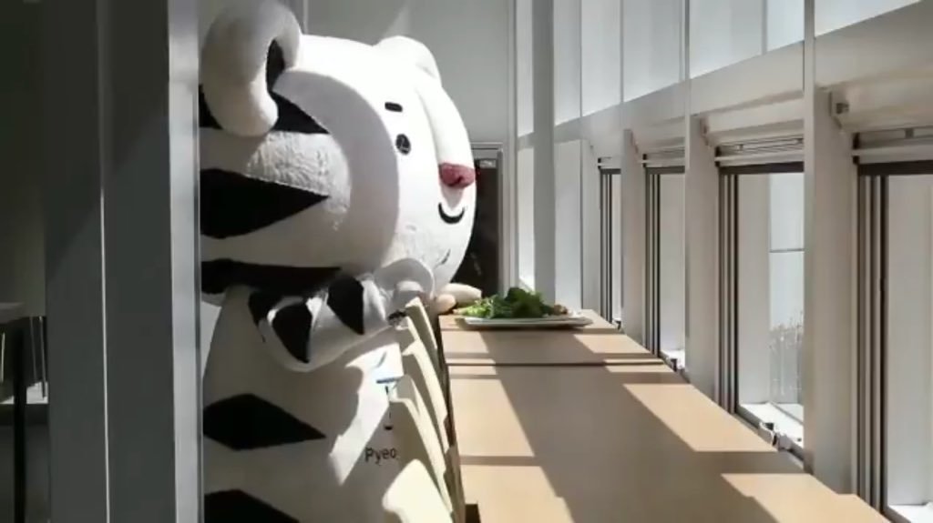 혼밥하는 수호랑 게시물의 숨겨진 진실.gif | 인스티즈