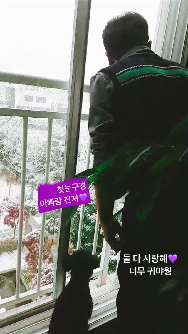 탱스타그램 | 인스티즈