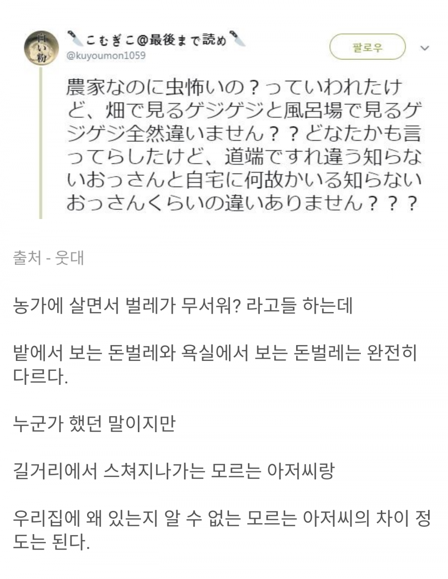 벌레가 무서운 이유 | 인스티즈
