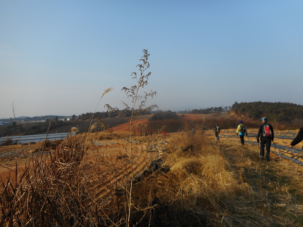 태산겔러리 이미지