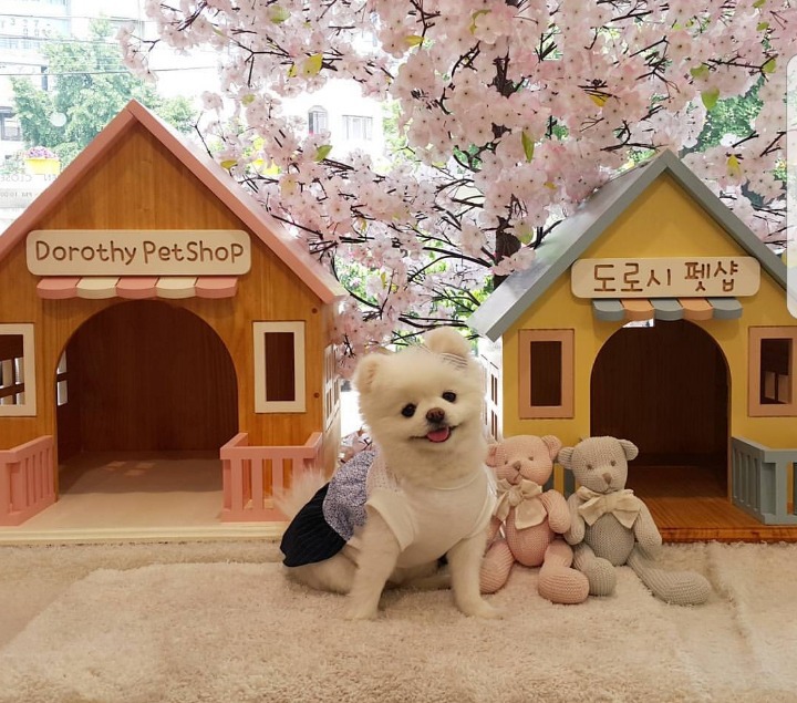 나 혼자 잘 한다고 해서 꼭 장수하는건 아니지 | 인스티즈