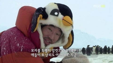 짱귀탱인 남극의 눈물 촬영 당시 펭귄들.gif | 인스티즈