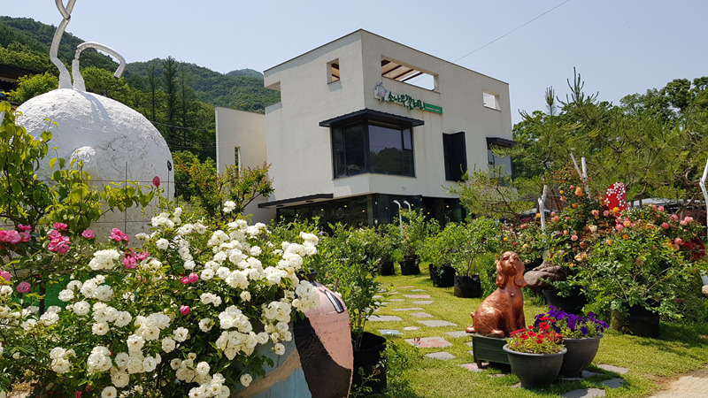 장찬리소나무갤러리 이미지