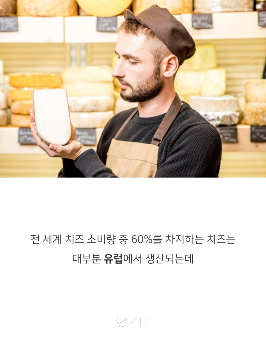 대한민국 치즈의 숨겨진 비밀 | 인스티즈